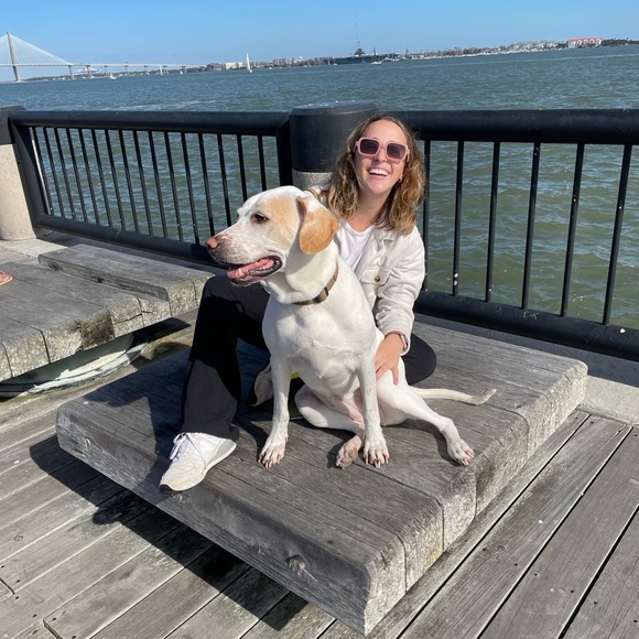 Meet your Posher, Abbey - Picture 4 of 4